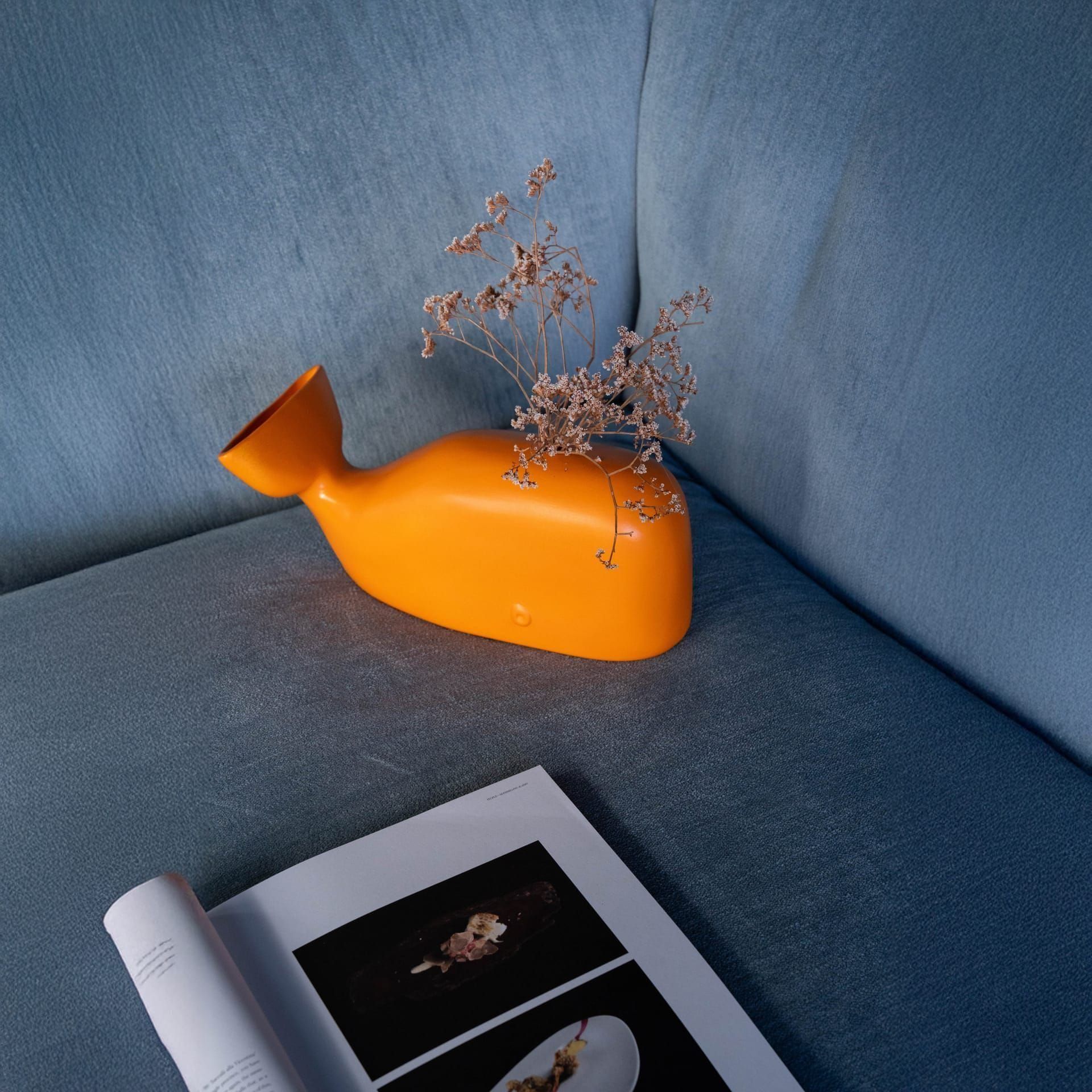 Croissant Design — 3